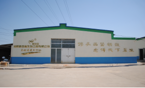 新坐標膏藥加工廠